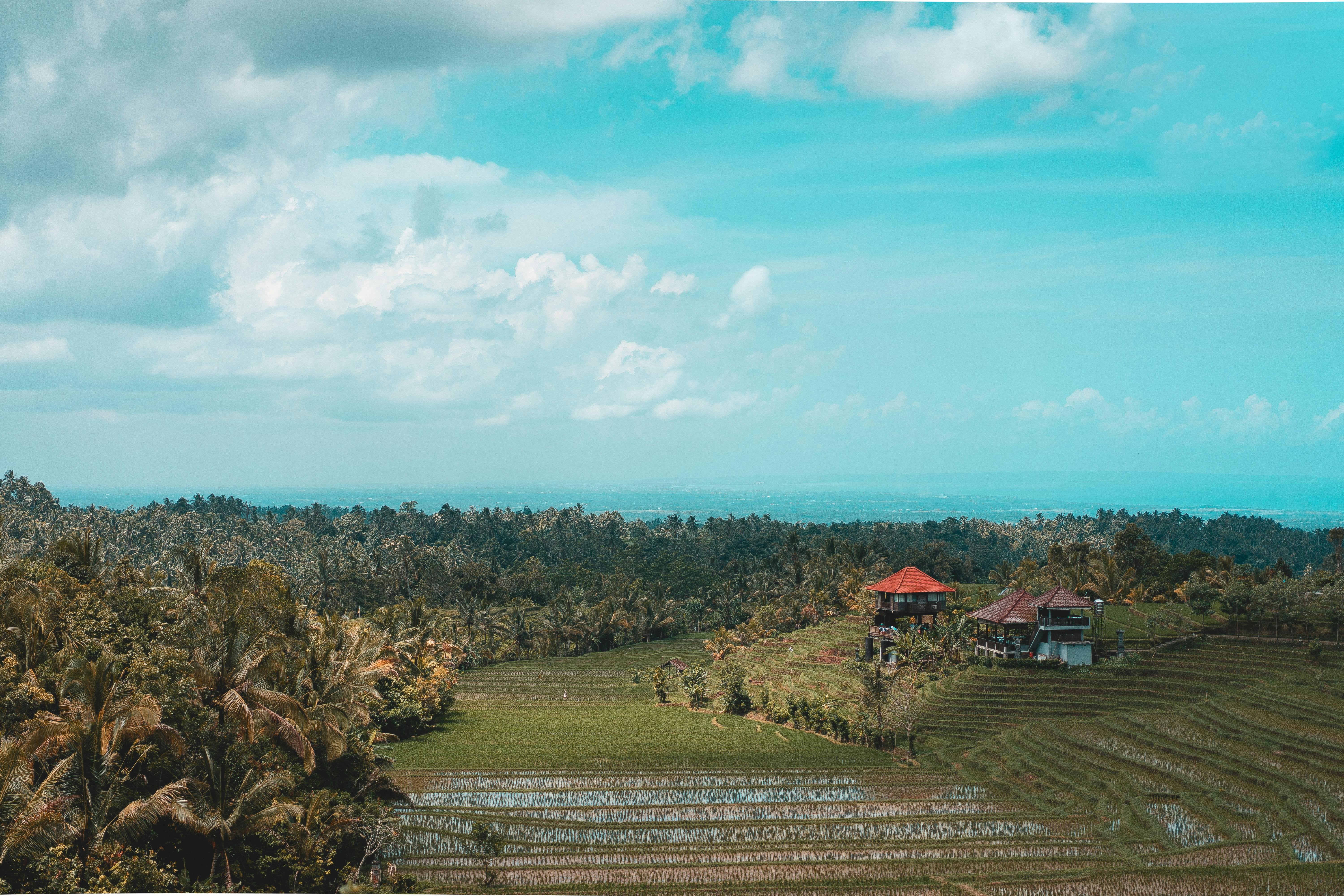 Bali private jet charter
